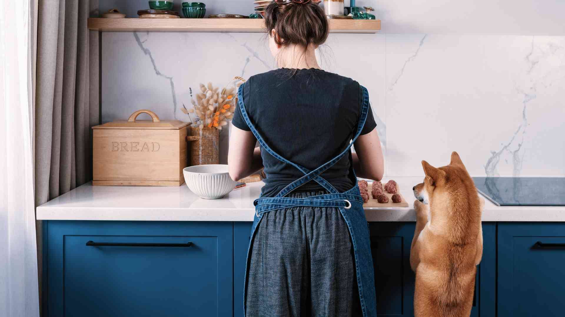 Menú semanal para perros